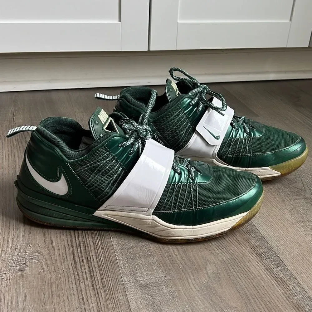 Nike zoom revis